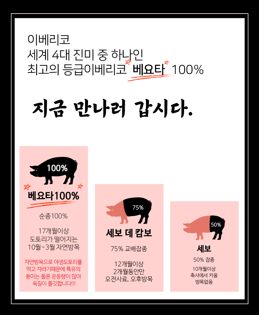 세계4대진미 스페인산 100% 이베리코 베요타등급 꽃살 500G 외 - 티몬